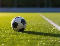 尤文图斯争,抢若日尼奥,意媒曝弗拉,必赢电子,必赢电子官网,中国必赢电子,必赢电子入口