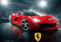 魔域游戏中,的这只猫,为何引千万,必赢电子,必赢电子官网,中国必赢电子,必赢电子入口